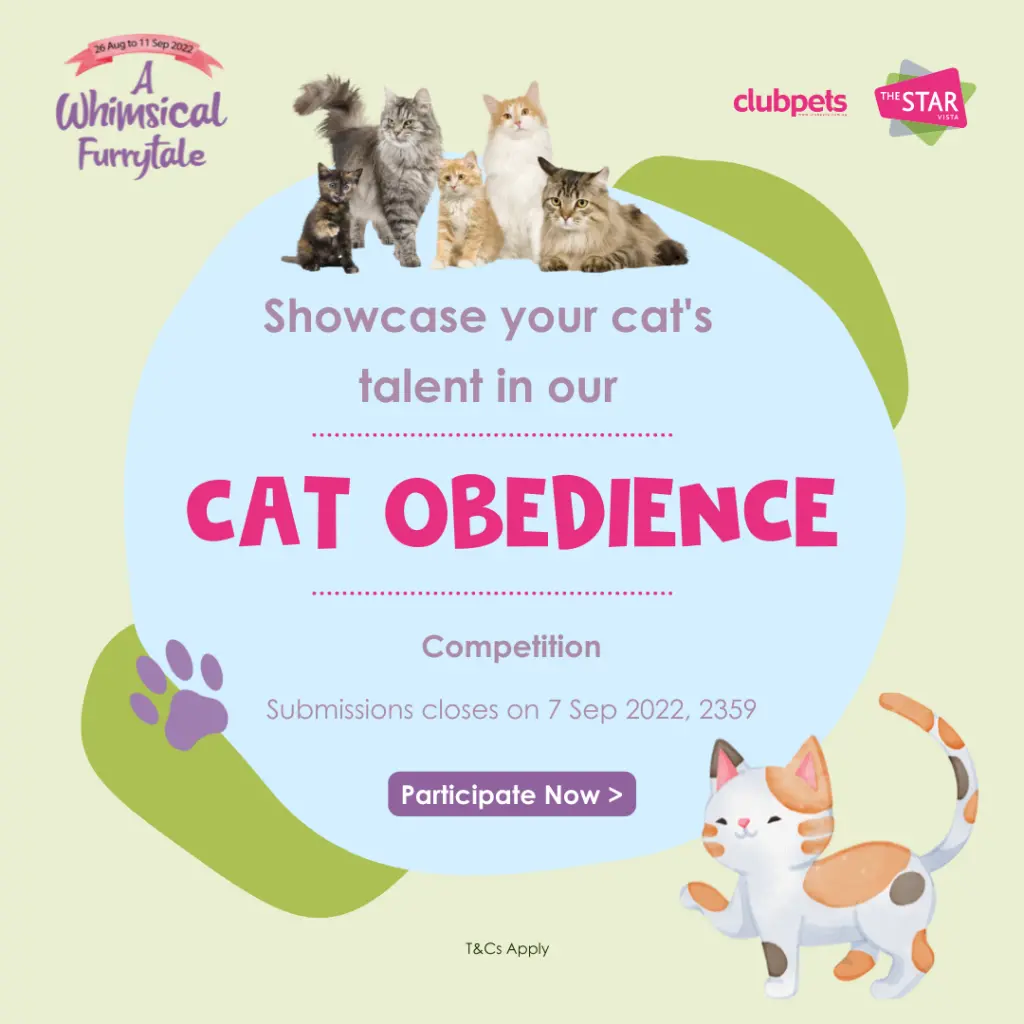 A Whimsical Furrytale by Clubpets x The Star Vista | Pet Show | Pet Event | Pet Expo