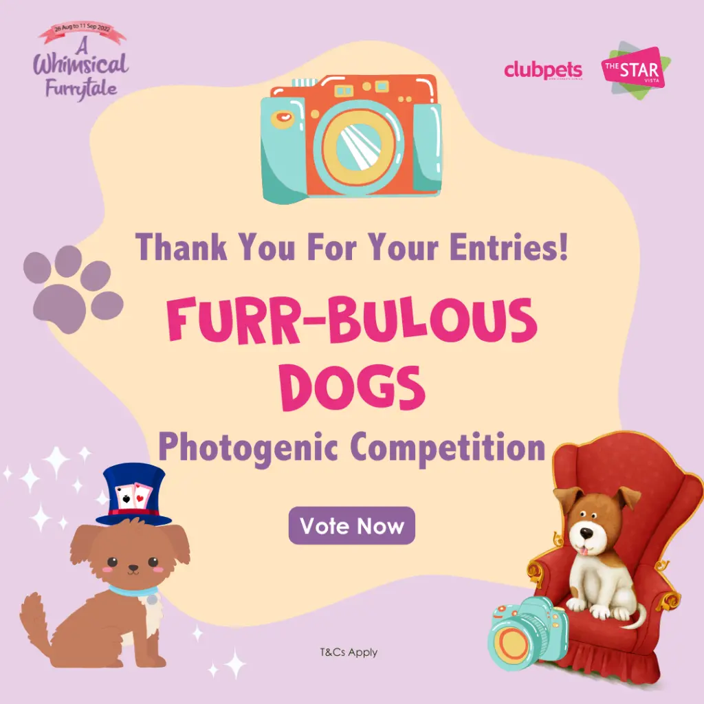 A Whimsical Furrytale by Clubpets x The Star Vista | Pet Show | Pet Event | Pet Expo
