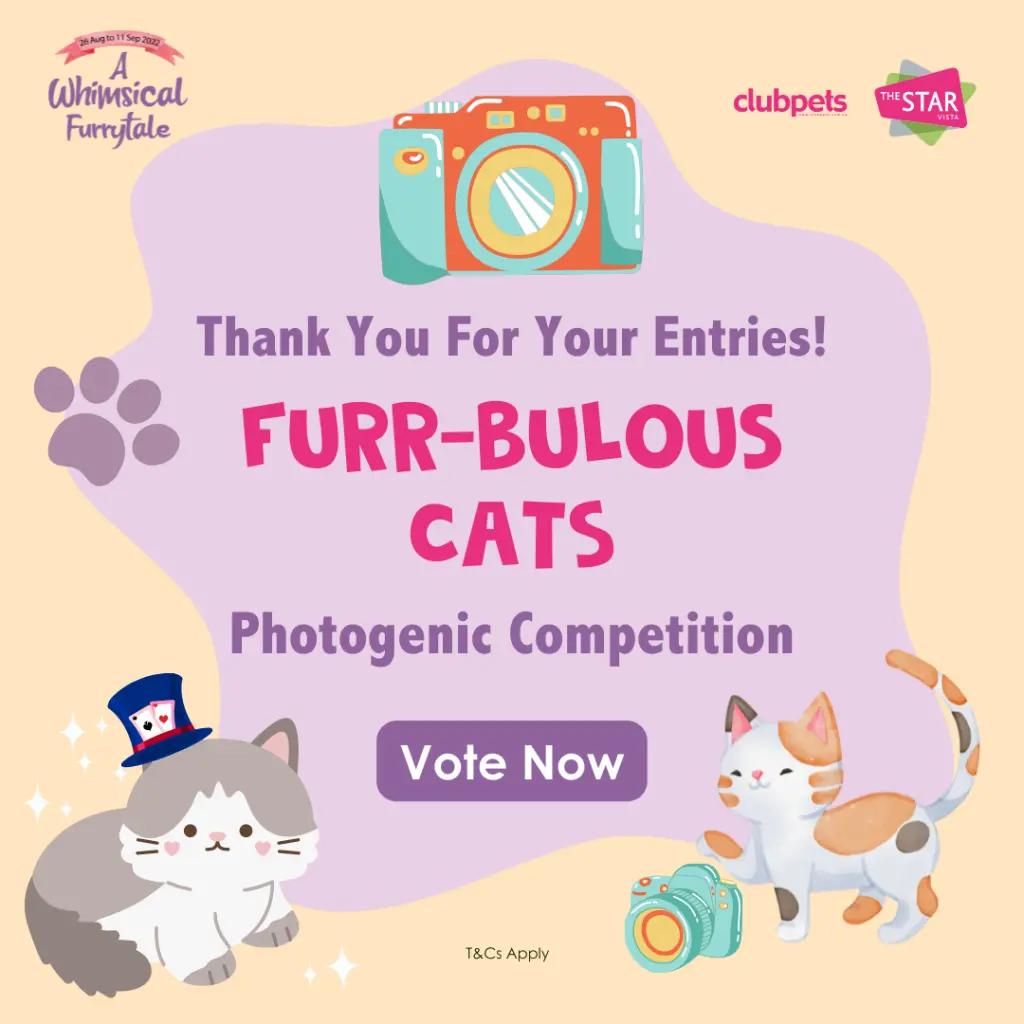 A Whimsical Furrytale by Clubpets x The Star Vista | Pet Show | Pet Event | Pet Expo