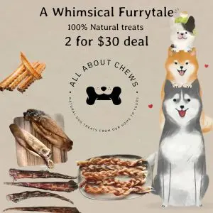 A Whimsical Furrytale by Clubpets x The Star Vista | Pet Show | Pet Event | Pet Expo
