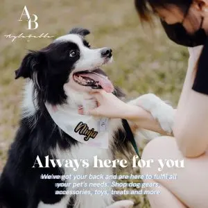 A Whimsical Furrytale by Clubpets x The Star Vista | Pet Show | Pet Event | Pet Expo