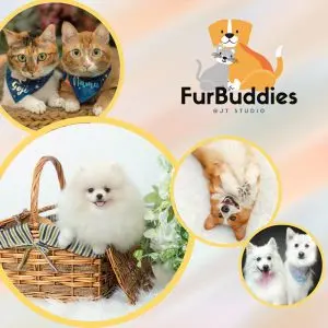 A Whimsical Furrytale by Clubpets x The Star Vista | Pet Show | Pet Event | Pet Expo