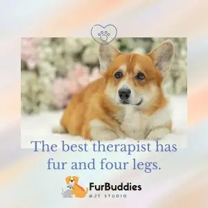 A Whimsical Furrytale by Clubpets x The Star Vista | Pet Show | Pet Event | Pet Expo