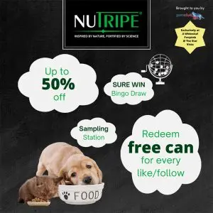 A Whimsical Furrytale by Clubpets x The Star Vista | Pet Show | Pet Event | Pet Expo