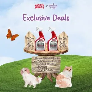 A Whimsical Furrytale by Clubpets x The Star Vista | Pet Show | Pet Event | Pet Expo