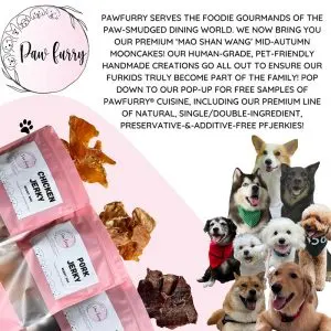 A Whimsical Furrytale by Clubpets x The Star Vista | Pet Show | Pet Event | Pet Expo