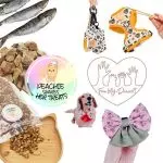 Peachie share her treats A Whimsical Furrytale by Clubpets x The Star Vista | Pet Show | Pet Event | Pet Expo