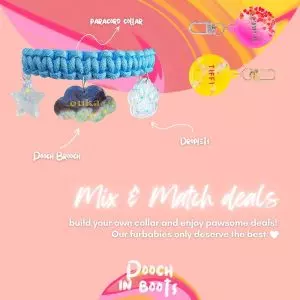 A Whimsical Furrytale by Clubpets x The Star Vista | Pet Show | Pet Event | Pet Expo