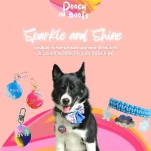 A Whimsical Furrytale by Clubpets x The Star Vista | Pet Show | Pet Event | Pet Expo