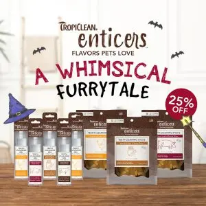 A Whimsical Furrytale by Clubpets x The Star Vista | Pet Show | Pet Event | Pet Expo