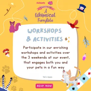 A Whimsical Furrytale by Clubpets x The Star Vista | Pet Show | Pet Event | Pet Expo