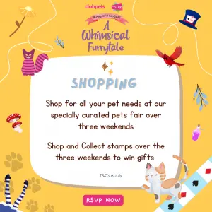 A Whimsical Furrytale by Clubpets x The Star Vista | Pet Show | Pet Event | Pet Expo