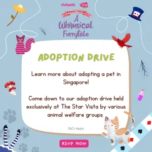 A Whimsical Furrytale by Clubpets x The Star Vista | Pet Show | Pet Event | Pet Expo