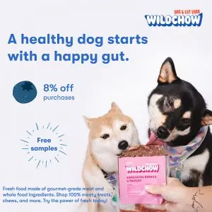 A Whimsical Furrytale by Clubpets x The Star Vista | Pet Show | Pet Event | Pet Expo