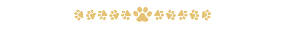 A Whimsical Furrytale by Clubpets x The Star Vista | Pet Show | Pet Event | Pet Expo A Whimsical Furrytale by Clubpets x The Star Vista | Pet Show | Pet Event | Pet Expo