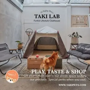 A Whimsical Furrytale by Clubpets x The Star Vista | Pet Show | Pet Event | Pet Expo