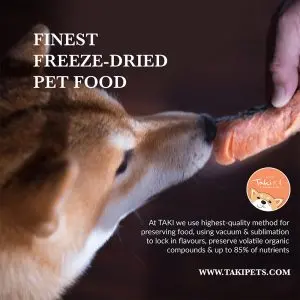 A Whimsical Furrytale by Clubpets x The Star Vista | Pet Show | Pet Event | Pet Expo