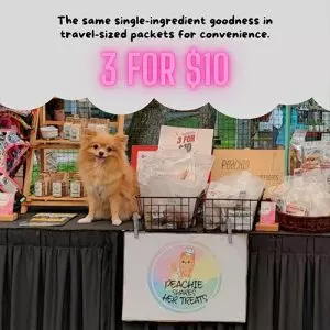 A Whimsical Furrytale by Clubpets x The Star Vista | Pet Show | Pet Event | Pet Expo