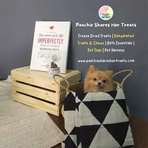 A Whimsical Furrytale by Clubpets x The Star Vista | Pet Show | Pet Event | Pet Expo