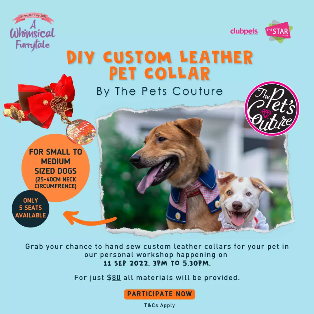 A Whimsical Furrytale by Clubpets x The Star Vista | Pet Show | Pet Event | Pet Expo